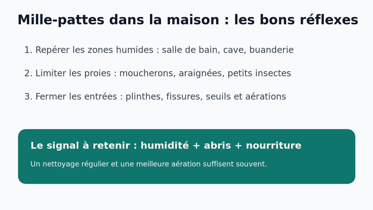 Checklist habitat pour comprendre la présence de mille-pattes dans la maison