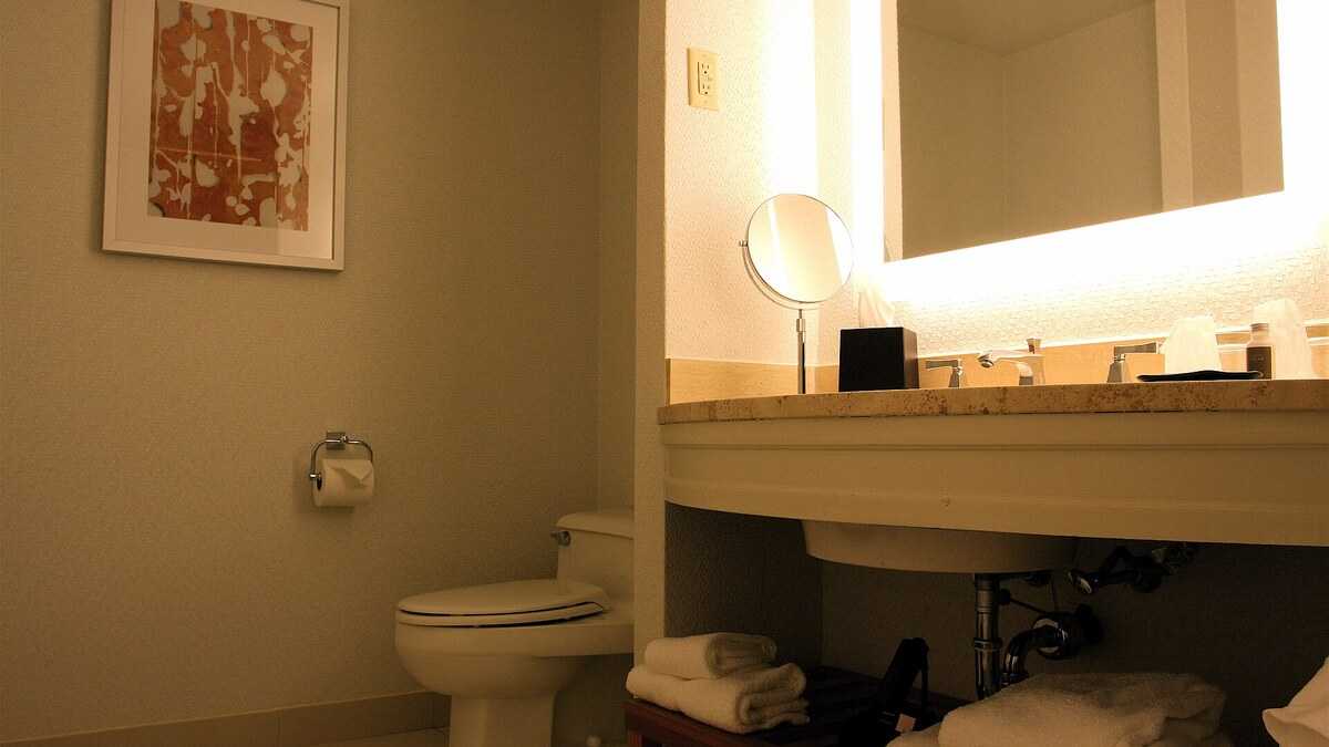 Toilette intégrée dans une salle de bain aménagée