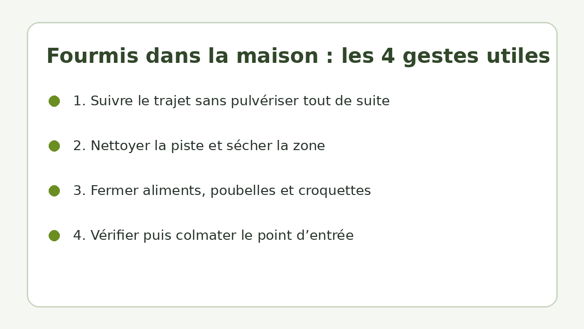 Checklist des gestes utiles lorsqu’une file de fourmis apparaît dans la maison